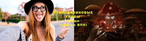стаф Балахна