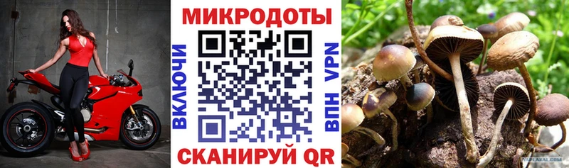 Галлюциногенные грибы мицелий  купить наркоту  Верея 